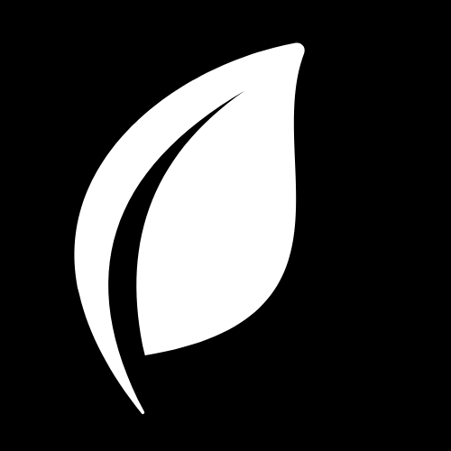 Social responsibility and ecology